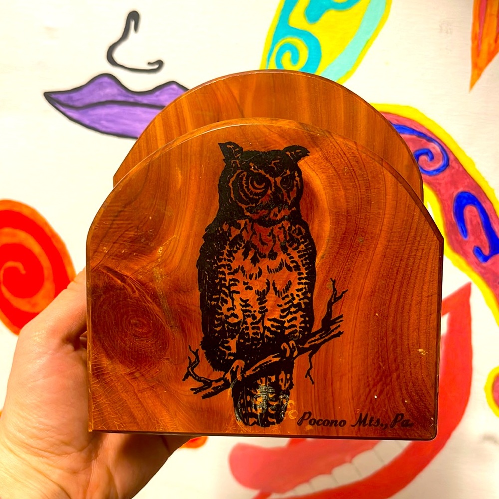 Vintage Pocono Mts., Pa. Souvenir Wooden Napkin Holder with Owl 🦉